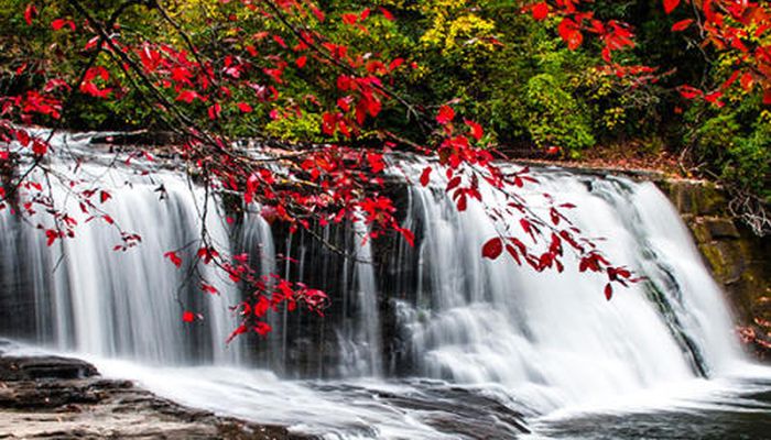 WNC Fall Waterfall
